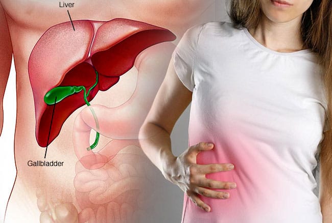 Liver