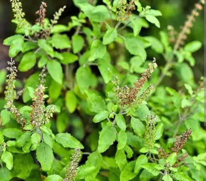 WhatsApp Image 2023 08 07 at 4.25.08 PM e1691407564405