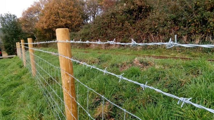 Bulandshahr News: फसल बचाने के लिए खेत में लगे कटीले तार ने ले ली किसान की जान,गर्दन फंसने से दर्दनाक मौत