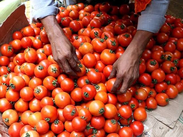 Tamatar
