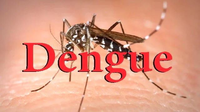Dengue