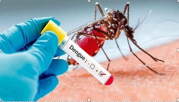 Dengue 2