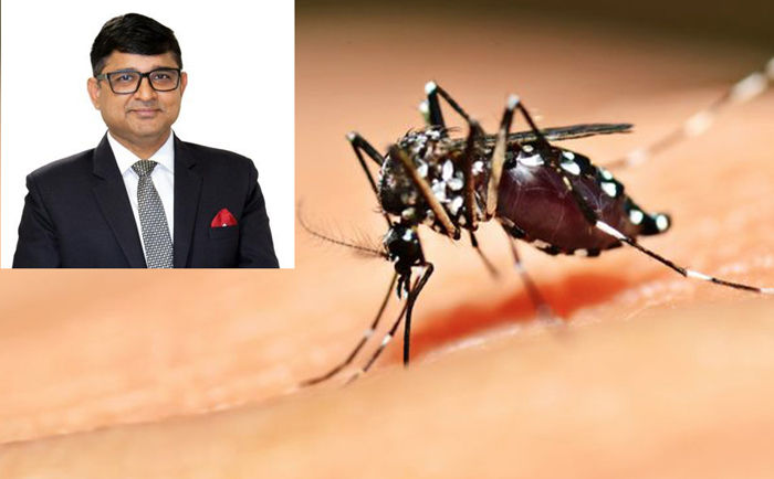 Dr dk gupta on dengue