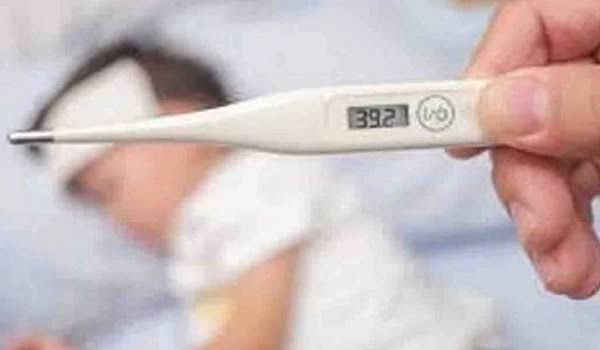 Bulandshahar News : खुर्जा के गांव कयोली खुर्द में कम नहीं हो रहा बुखार, महीने में हो चुकी है 4 मौत