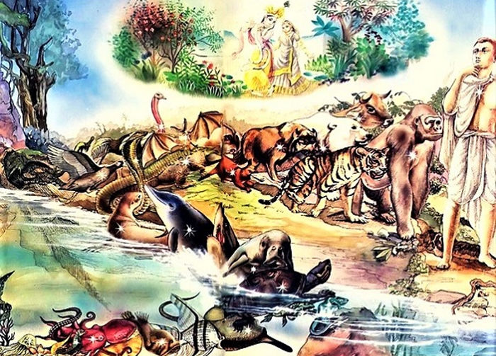 Religion : आसान भाषा में समझ लीजिए योनि व मोक्ष को