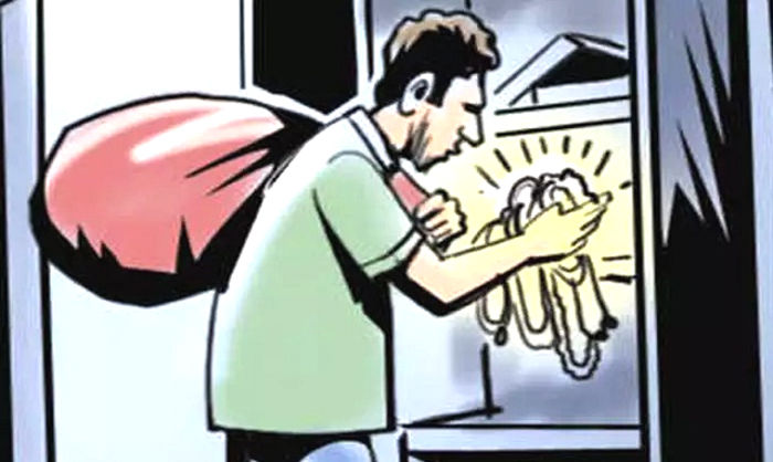 Thief in house