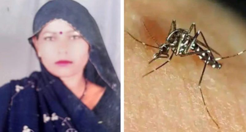 यूपी में डेंगू और बुखार ने बढ़ाई लोगों की चिंता, लखनऊ में महिला की मौत, दर्जनों अस्पताल में भर्ती