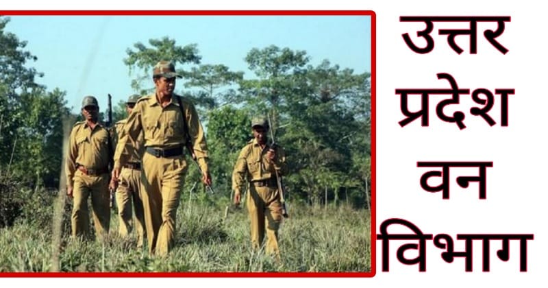 Job Update - 10वीं 12वीं पास के लिए उत्तर प्रदेश वन विभाग में सरकारी नौकरी पाने का सुनहरा मौका !
