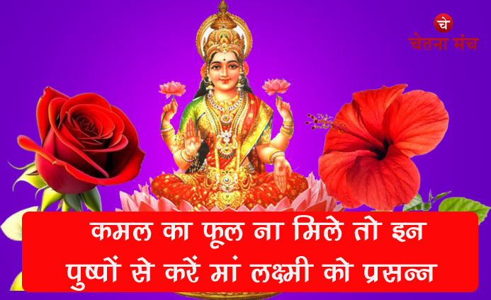कमल का फूल ना मिले तो इन फूलों से करें मां लक्ष्मी को प्रसन्न, धन- धान्य से भरेंगे भंडार