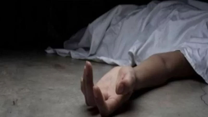 १० e1699357891772