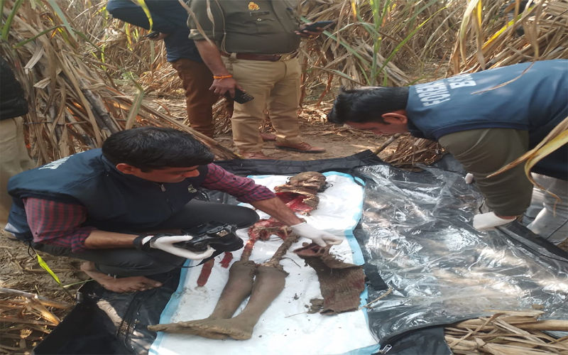 11 वर्षीय बच्ची के साथ दरिंदगी की थी 55 वर्षीय आरोपी ने, हुआ यह हश्र