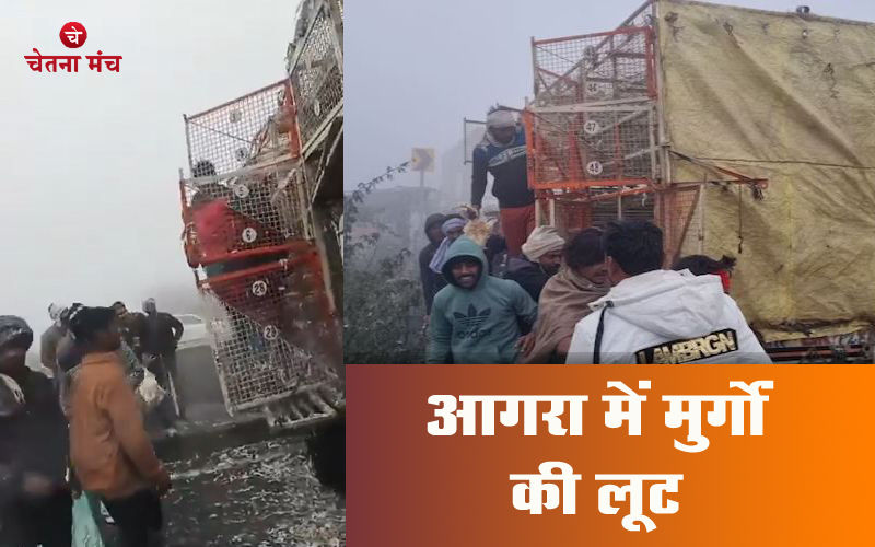 आगरा में हाईवे पर मुर्गों की लूट के लिए मची आपाधापी