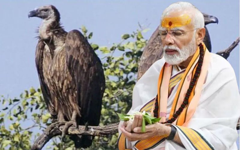 बड़ी खबर : कार सेवकों की आत्मा की शांति के लिए जटायु पूजा करेंगे PM मोदी