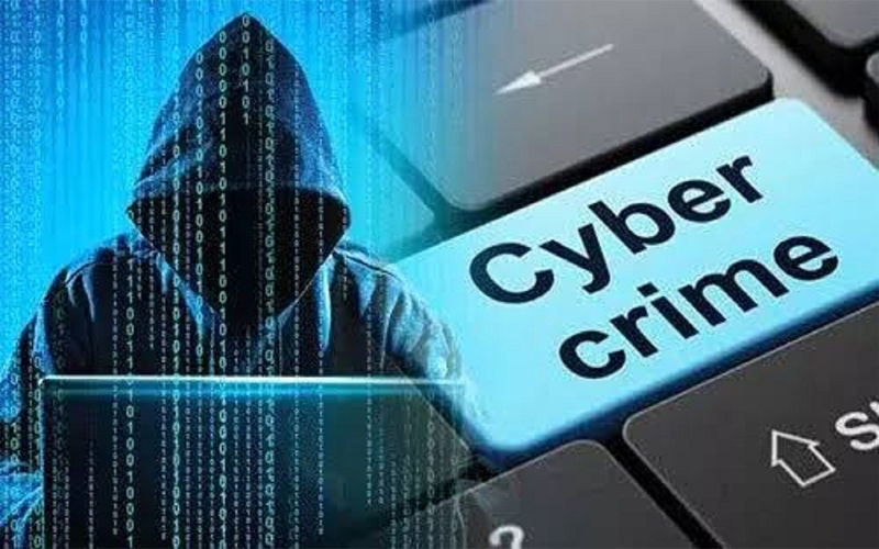 Cyber Crime