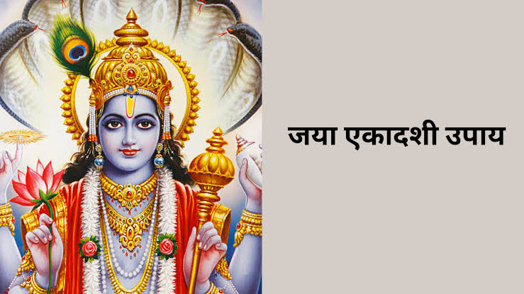 जया एकादशी के दिन कर लें ये खास उपाय, इन उपायों से पांडवों को भी मिला था मुक्ति का मार्ग