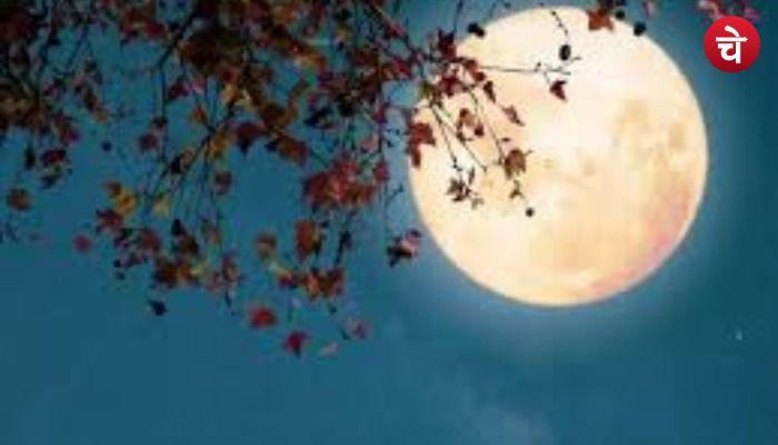 माघी पूर्णिमा पर किये जाने वाले विशेष उपाय,आरोग्य ,धन प्राप्ति और जीवन में सफलता दिलाते हैं