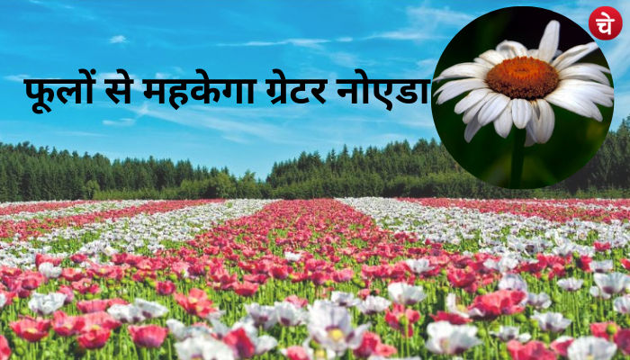 ग्रेटर नोएडा रंग-बिरंगे फूलों से होगा गुलजार, खुशबू से महकेगा शहर