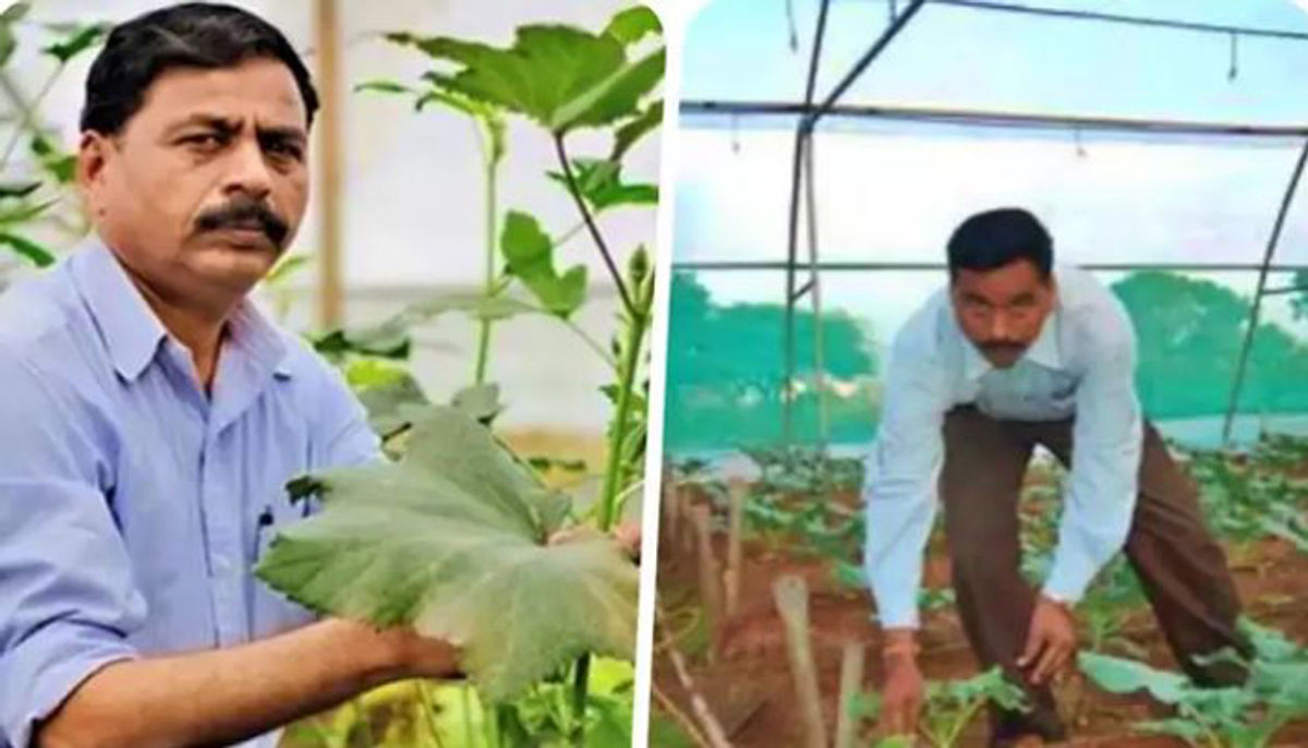 इसको कहते हैं सच्चा कमाल, चपरासी बना करोड़पति