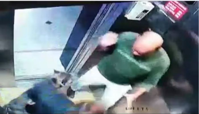 पिटबुल ने शख्स के प्राइवेट पार्ट पर किया हमला, मांग रहा है इंसाफ