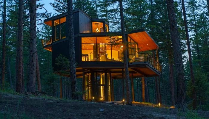 लोगों को पेड़ पर सुलाकर लाखों कमा रहा है ये शख्स, जानिए कैसे?