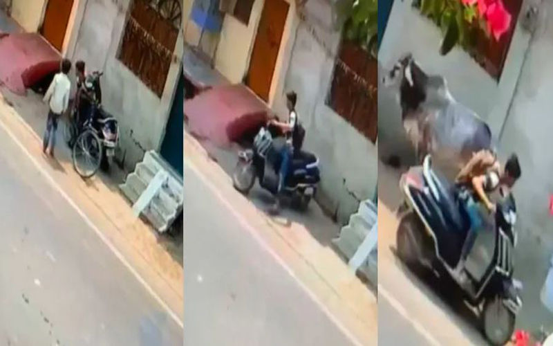 स्कूली बच्चा बनकर मोहल्ले में गुपचुप आया चोर, स्कूटी लेकर हुआ नौ दो ग्यारह