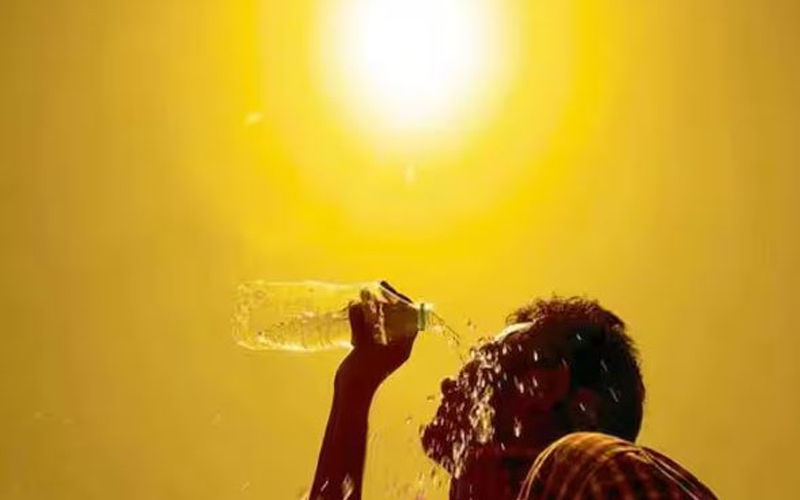राजधानी समेत ये इलाके भी गर्मी की चपेट में, मौसम विभाग ने जारी की एडवाइजरी