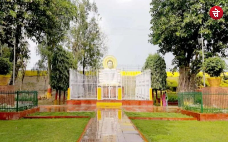 Untitled design 2024 05 15T105116.201