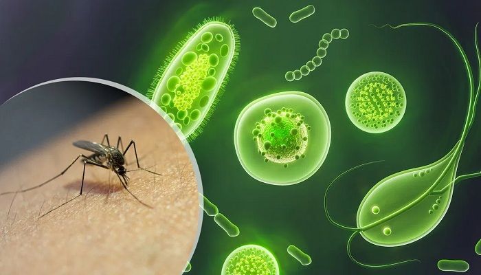 केरल में फैल रहा है एक और वायरस, जानें कितना है खतरनाक?