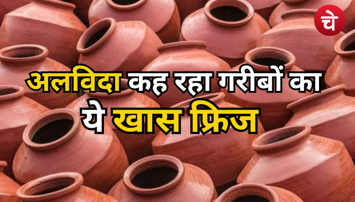 मसाला उद्योग पर मंडरा 3