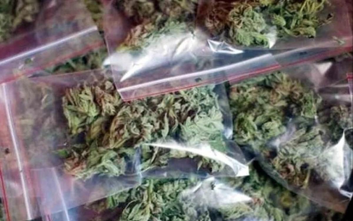 नोएडा में 25 किलो गांजे के साथ पुलिस ने तीन आरोपियों को धर दबोचा