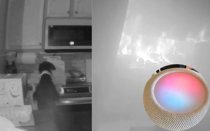 Apple के इस प्रोडक्ट ने कर दिया कमाल, वक्त रहते बचा ली इंसान और बेजुबान की जान