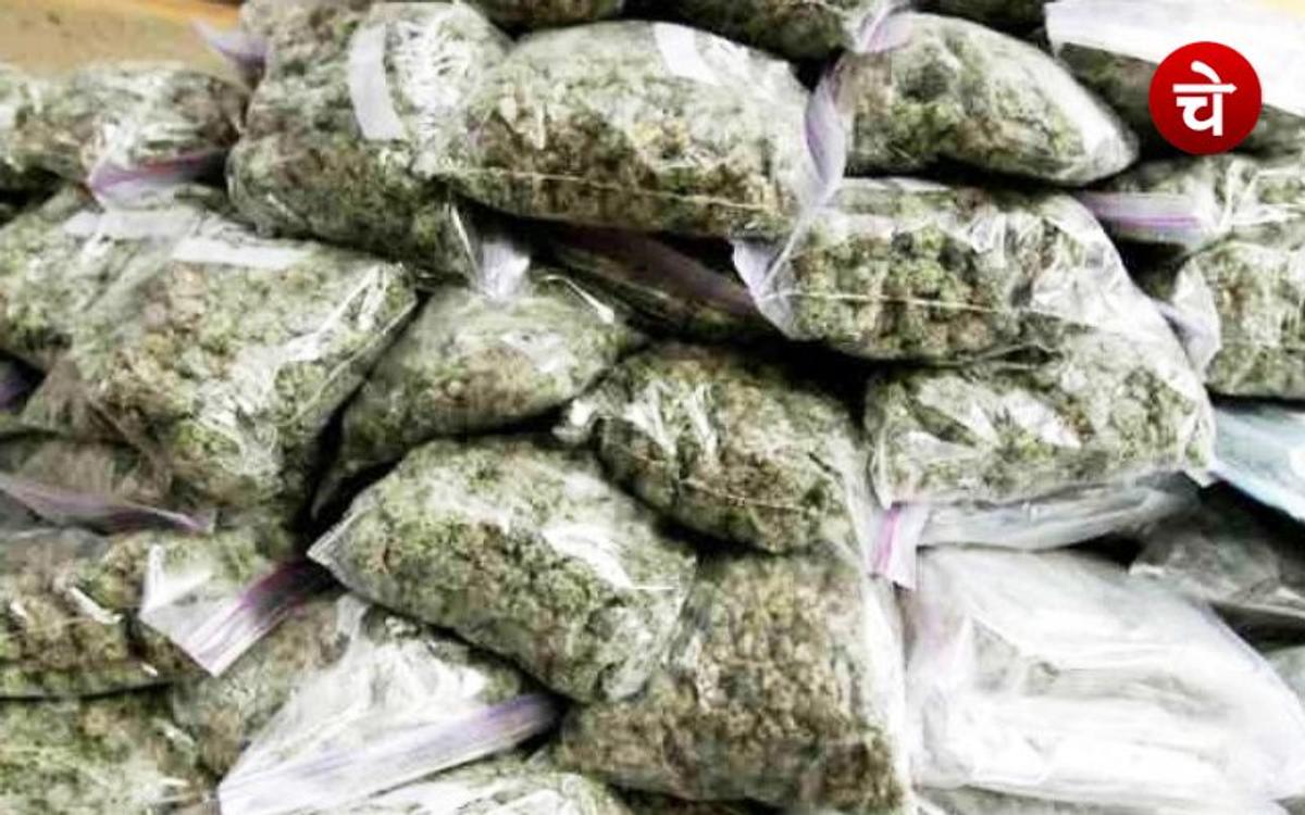 नोएडा में हो रहा था गांजा सप्लाई, पुलिस ने तीन को धर दबोचा