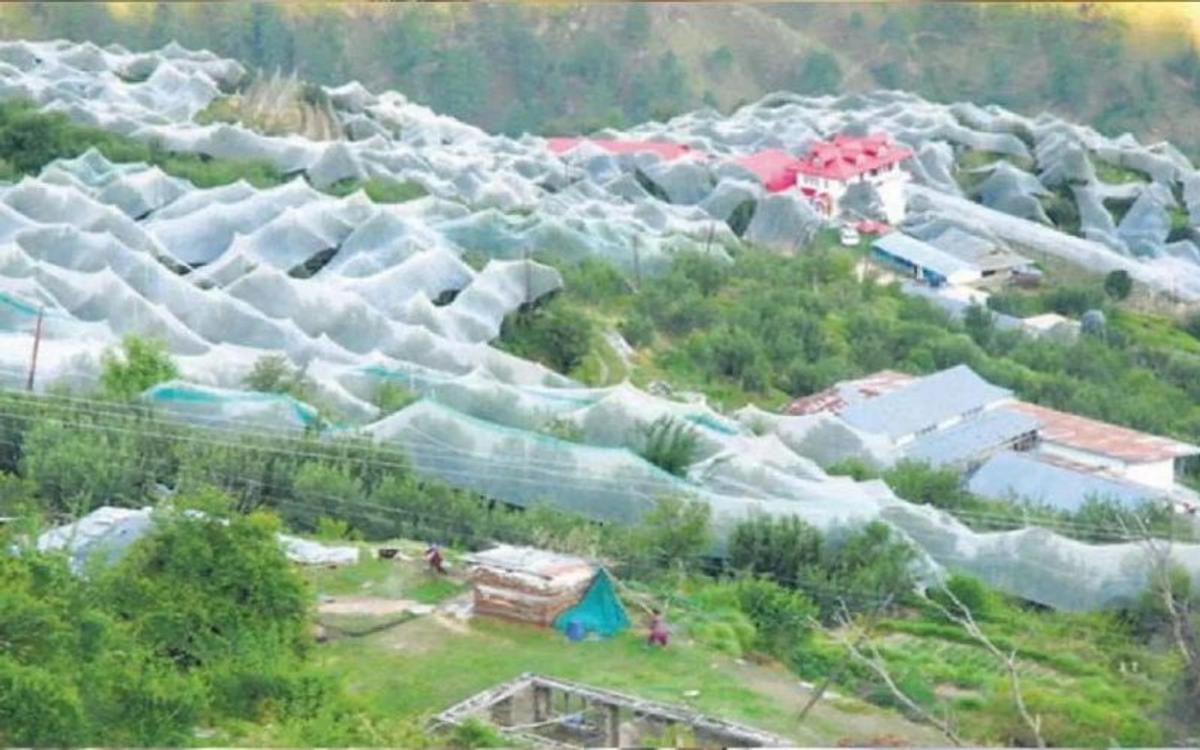 एशिया का सबसे अमीर गांव है भारत में, रहते हैं सब करोड़पति