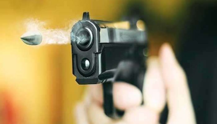 नोएडा के अलग-अलग क्षेत्रों में एनकाउंटर, पुलिस की गोली लगने से 'नेवला O' घायल