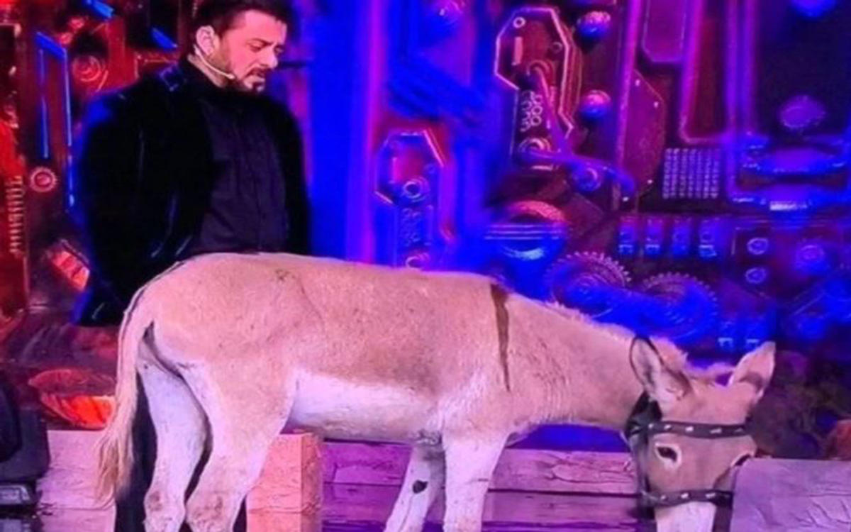 Big Boss 18 में 'गधराज' को लेकर मचा बवाल, PETA ने भाईजान को दी Warning