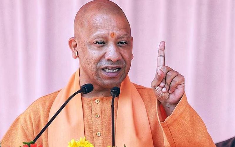 Cm yogi 3