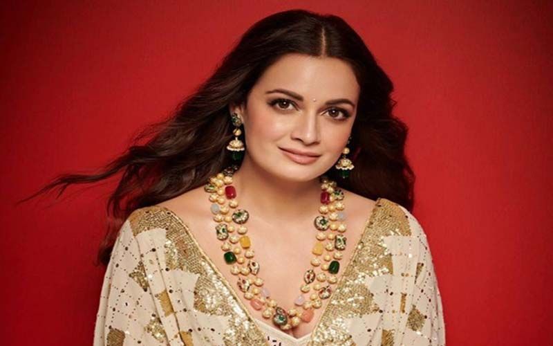 EXCLUSIVE Dia Mirza opens up about the issues she faced with her pregnancy and post delivery says Within 36 hours of birth the baby had to go through surgery 1