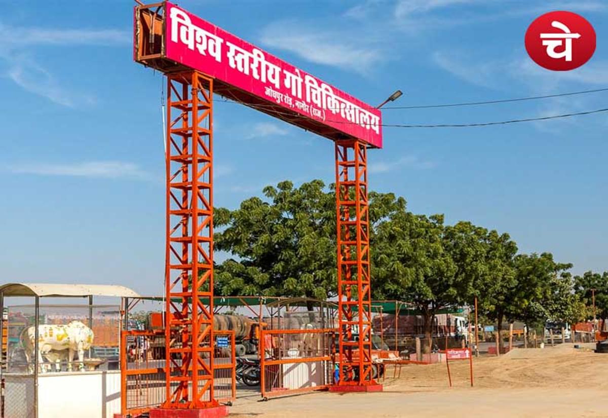 गोपाष्टमी पर विश्व स्तरीय गो चिकित्सालय की चर्चा जरूरी