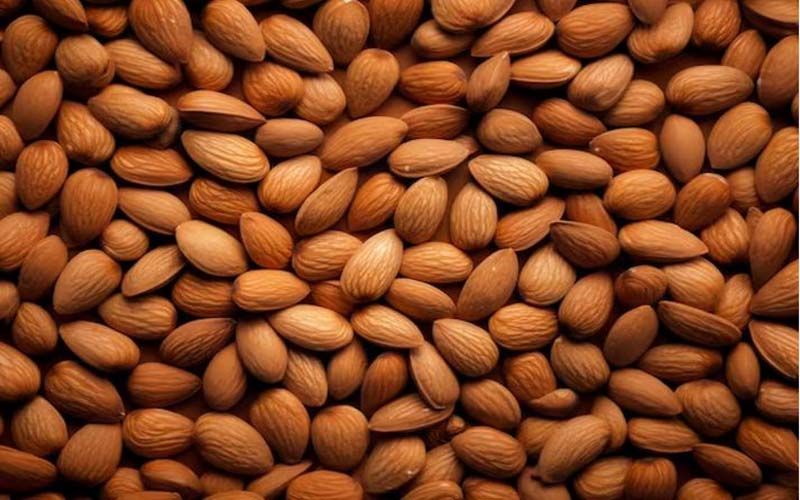 सर्दियों में बादाम बन सकता है कैंसर की वजह? जानें वैज्ञानिकों की राय