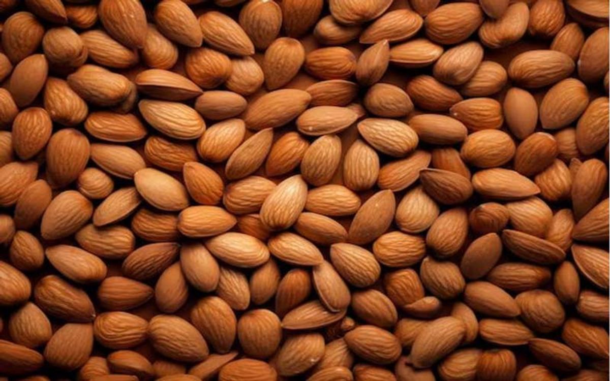 सर्दियों में बादाम बन सकता है कैंसर की वजह? जानें वैज्ञानिकों की राय