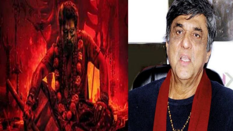 Picsart 24 12 13 11 03 17 633