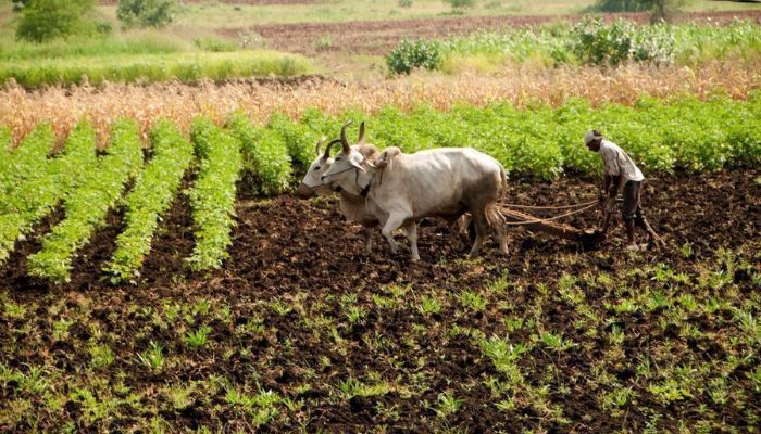 पांच गांवों के किसानों की चमकेगी किस्मत, जल्द बसेगा नया शहर