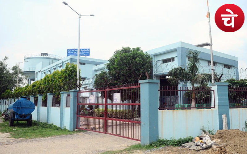 Water Plant