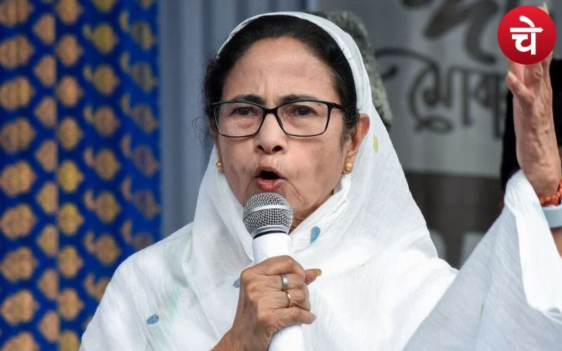 Bengal 5