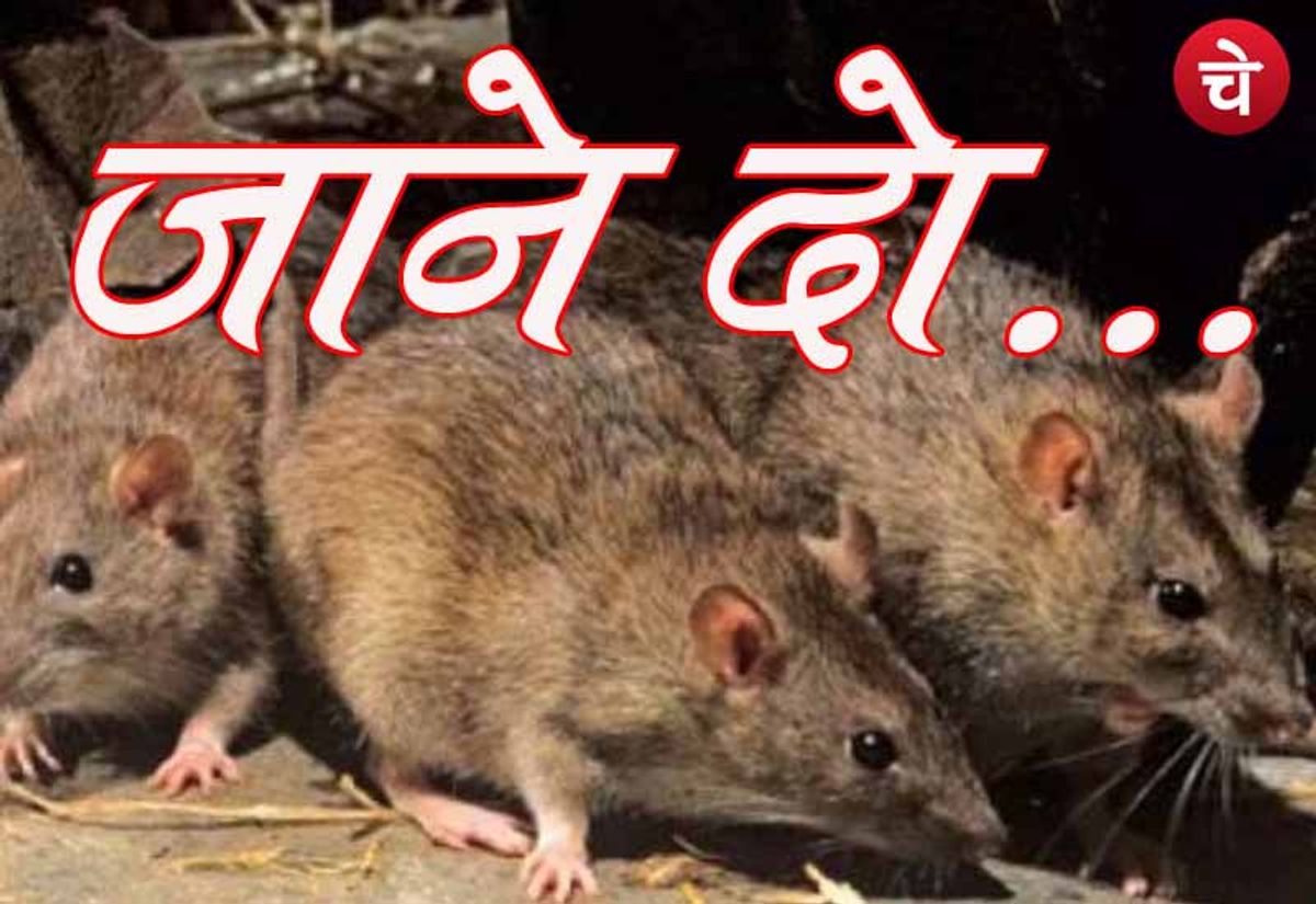 जाने दो ...