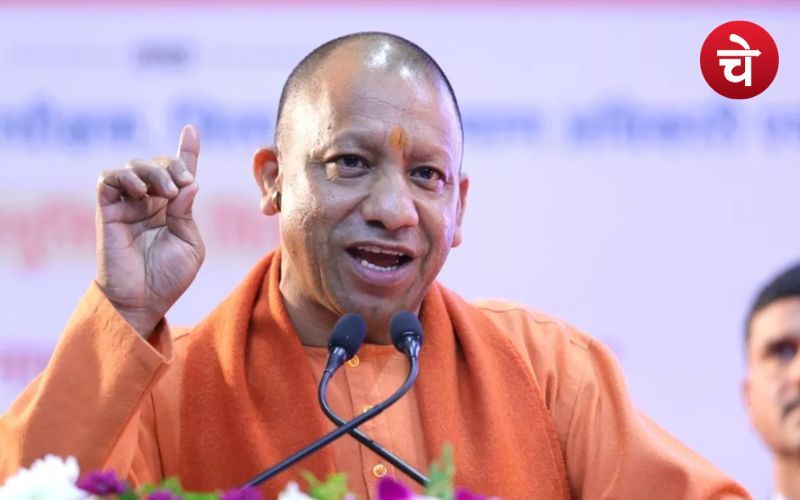 UP News 30