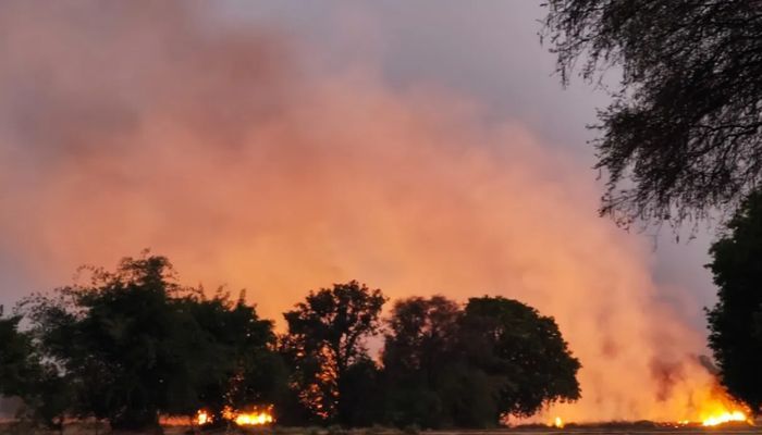 सालों की मेहनत एक झटके में जलकर हुई खाक, एक ही रात में हुआ सब तबाह