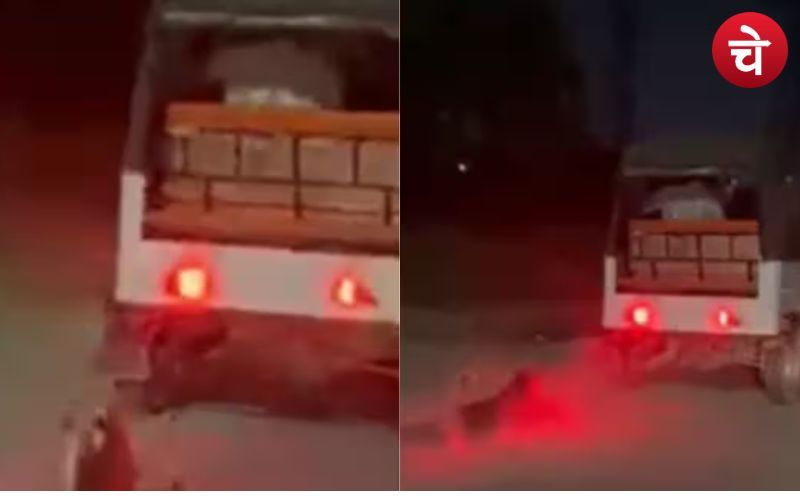 Greater Noida : डॉगी के साथ बेहरमी , ऑटो में बांधकर कुत्ते को घसीटा