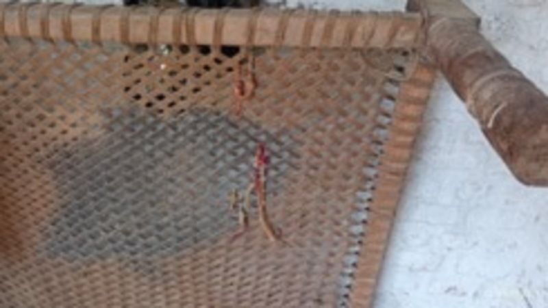 खून से सनी चारपाई पर 10 साल से बहनें निभा रही हैं राखी का रिश्ता, हर रक्षाबंधन पर पूरे गांव की आंखें हो जाती हैं नम