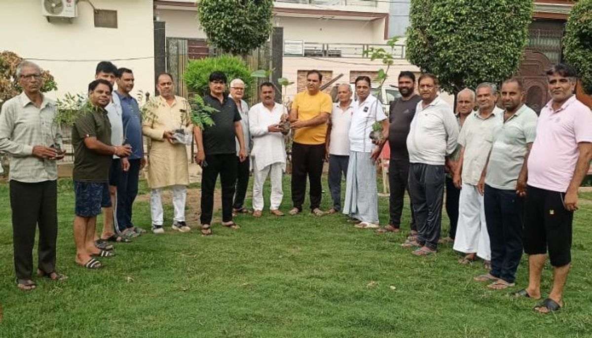 ग्रेटर नोएडा में पर्यावरण संरक्षण की अनूठी पहल, अब हर सेक्टर होगा ग्रीन जोन